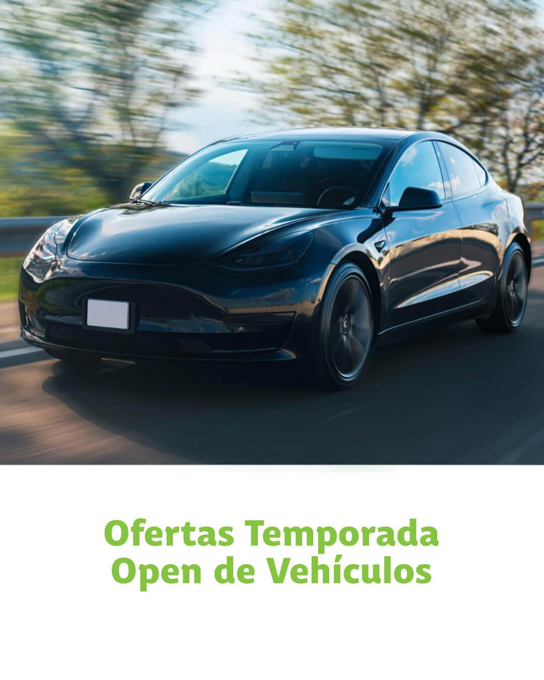 Préstamos de vehículos